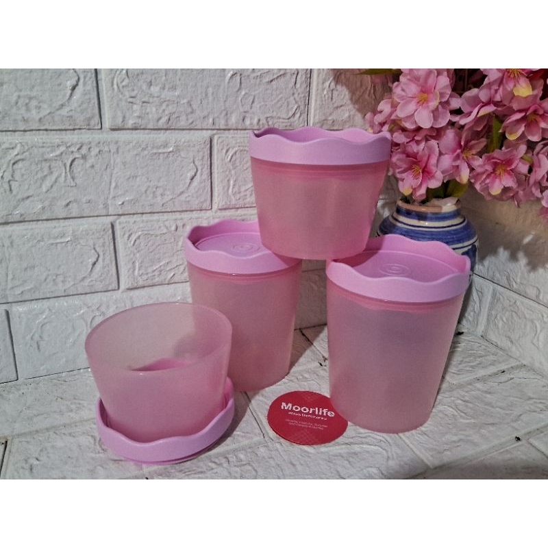 ORIGINAL TOPLES FIORE /TOPLES KUE by Moorlife