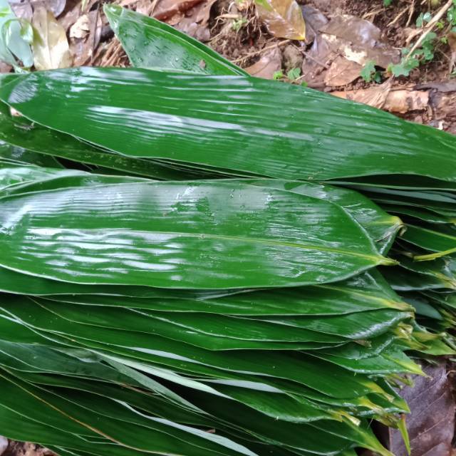 

Daun bambu jumbo,bungkus 1kg(termurah)