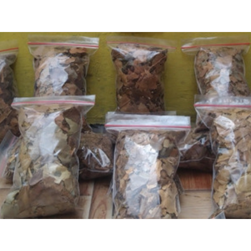 

Daun sukun kering 500 gram herbal alami