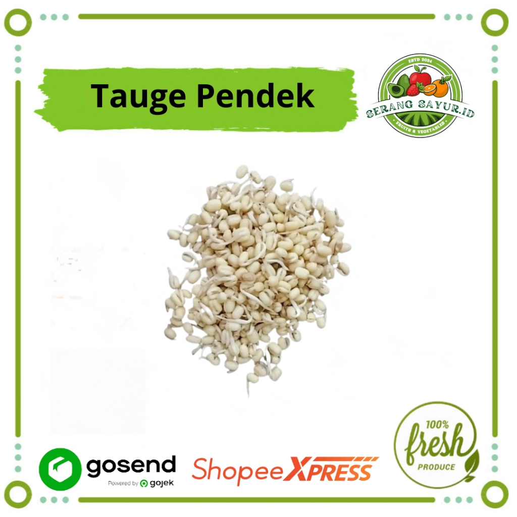 

[INSTAN SERANG] TAUGE PENDEK 250 GR