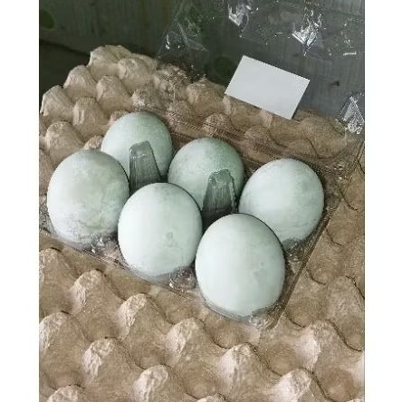 

Telur Bebek Asin Masir, Paket isi 4 dan 6