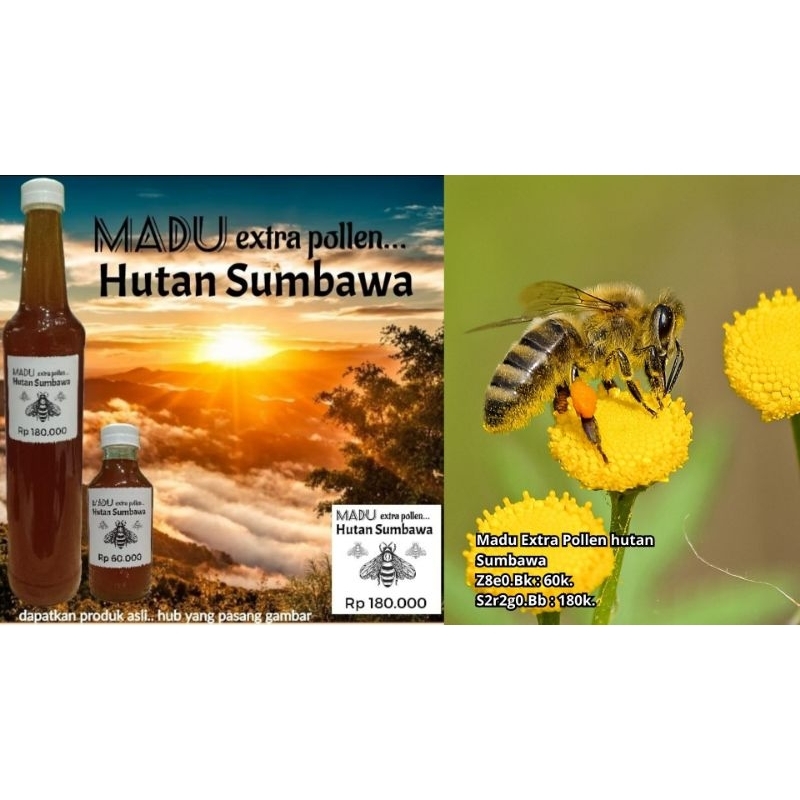 

madu hutan Sumbawa extra pollen