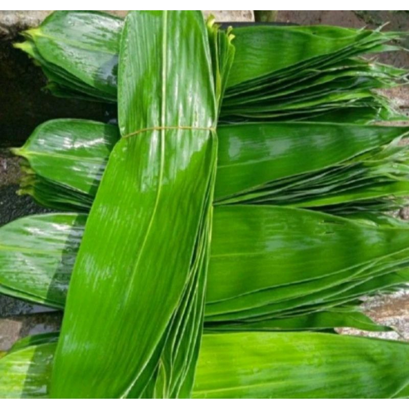 

daun bambu bungkus bakcang per lembar