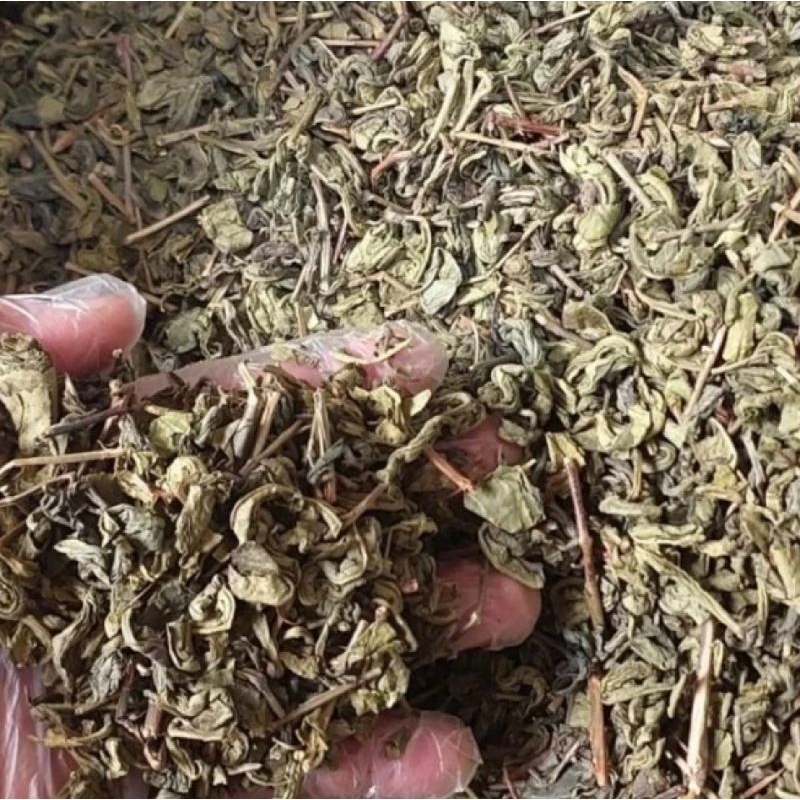 

MAR Daun Teh Hijau Kering 1kg Teh Hijau Murni Siap Seduh