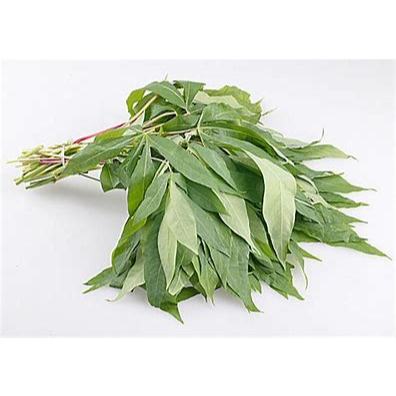 

Daun Singkong Fresh Per Ikat