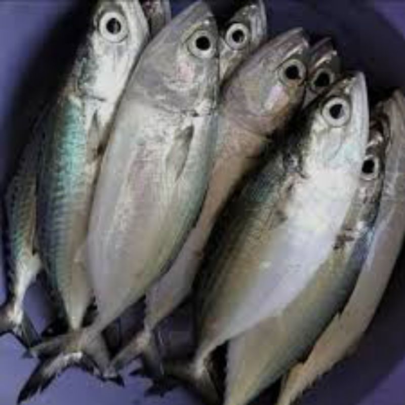 

ikan kembung Banjar/500gram