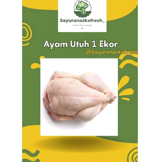 

Ayam Utuh 1 Ekor