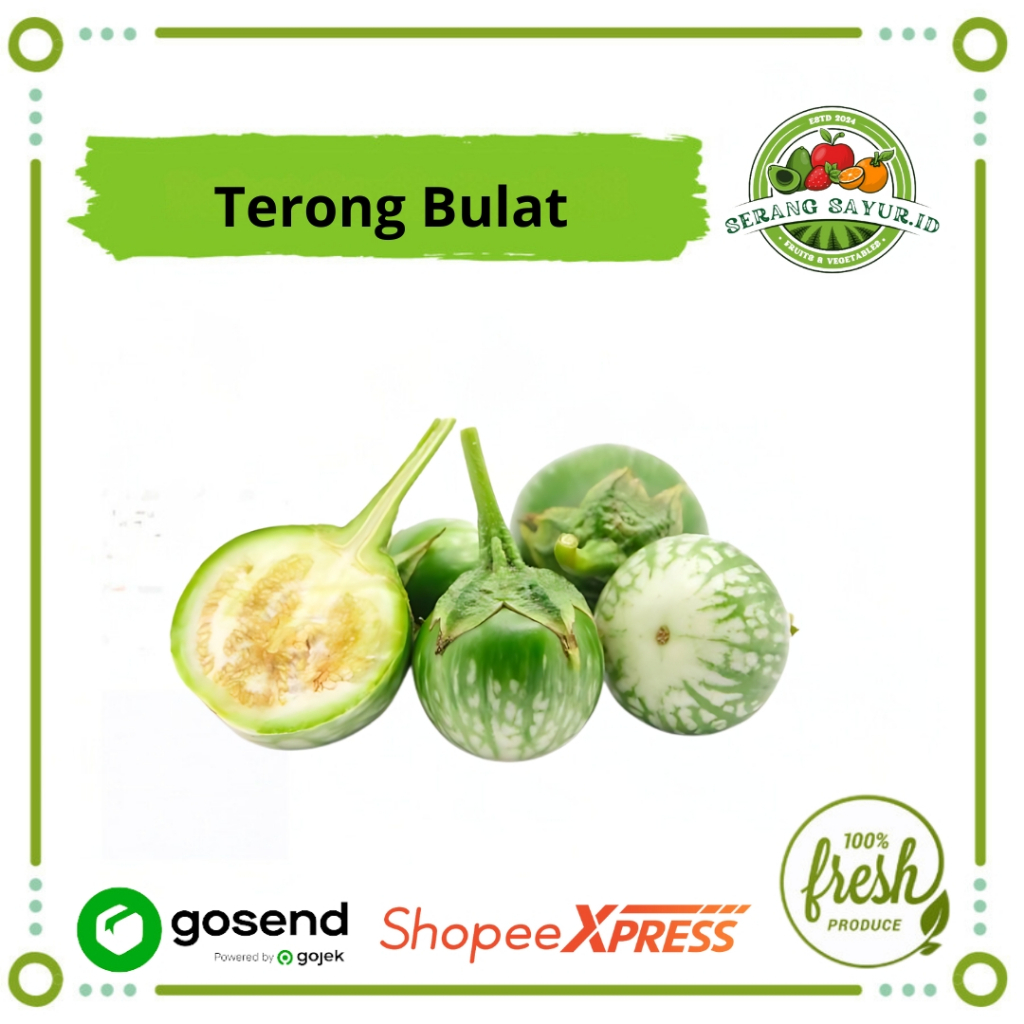 

[INSTAN SERANG] TERONG BULAT HIJAU - TERONG LALAP 500 GR