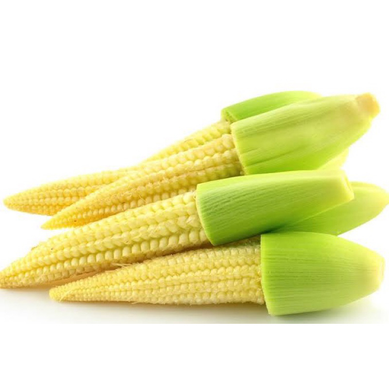 

kirim instan jagung muda 100-150gr