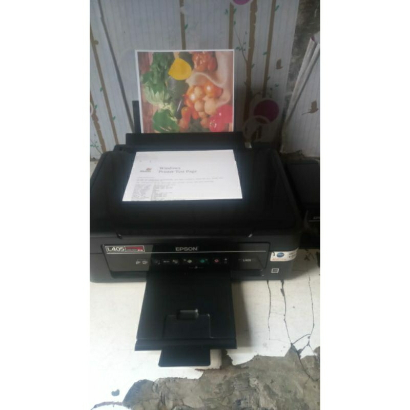 Printer Epson L405 Wifi