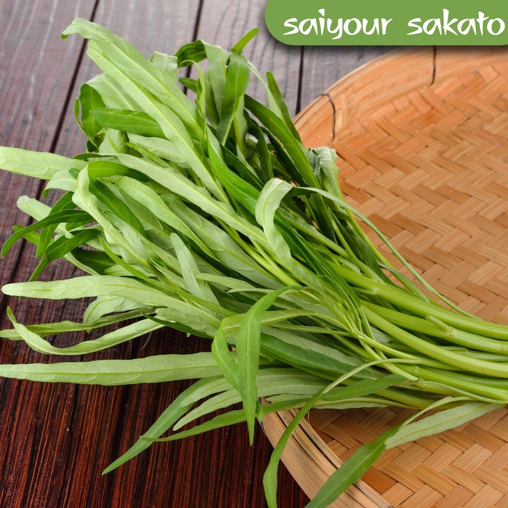 

Daun Kangkung Hijau Sayuran Segar Per Ikat - Saiyour Sakato