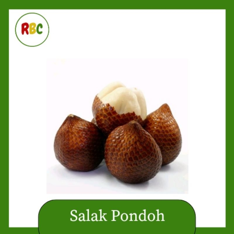 

Salak Pondoh Segar 1 kg