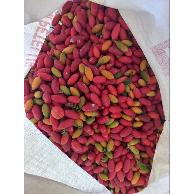 

Buah Mlinjo 1Kg