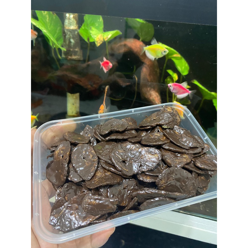 

Keripik Pisang Lumer - Cokelat 180gr