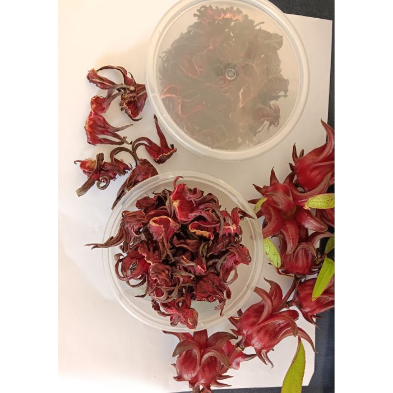 

Teh Bunga Rosela 50 gr