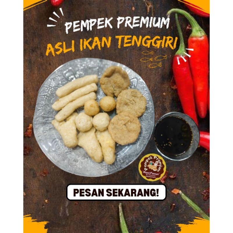 

PEMPEK PALEMBANG MAMI FASSYA ISI 50 PCS ASLI IKAN TENGGIRI