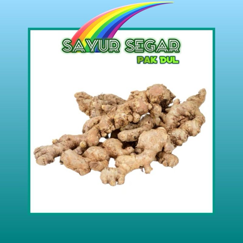 

Jahe Emprit +- 250gr