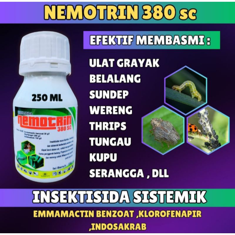 INSEKTISIDA NEMOTRIN , OBAT BAWANG MERAH , PEMBASMI HAMA TANAMAN ANDALAN PARA PETANI