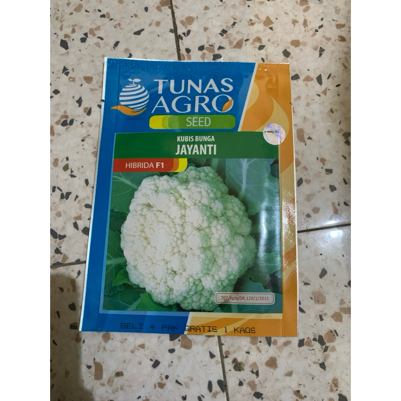 

KUBIS BUNGA JAYANTI 100%ORIGINAL