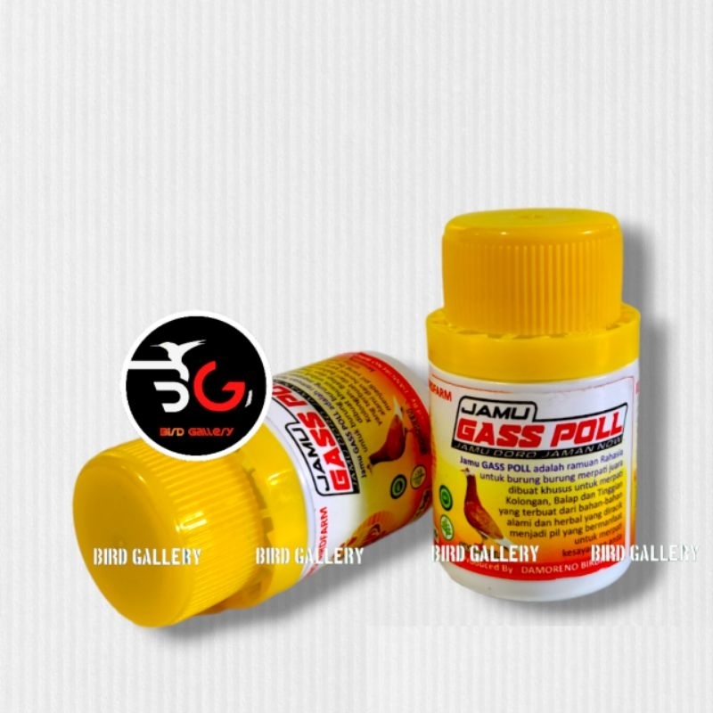 JAMU MERPATI GAS POL GASS POLL MERPATI JAMU MERPATI JUARA