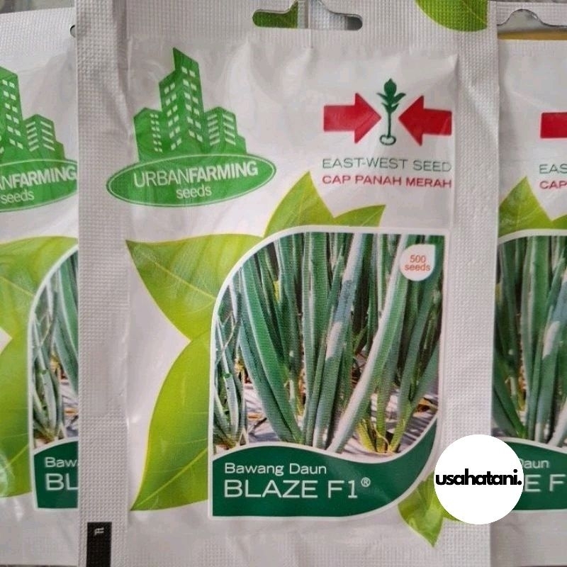 Benih Daun Bawang BLAZE F1 500 Butir Cap Panah Merah