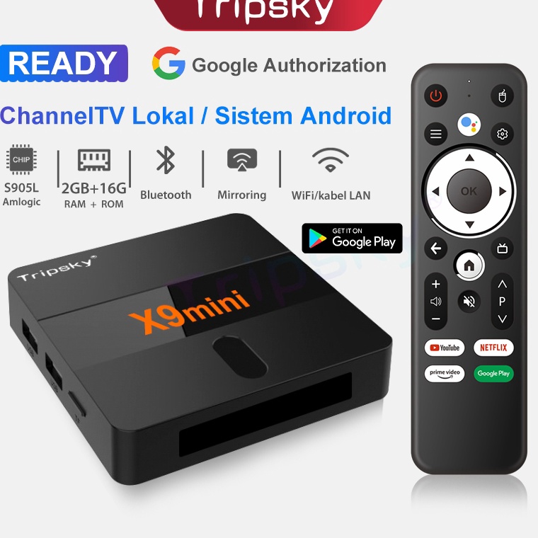 Hot Sell Tripsky X9mini Android Tv Box Ram 2gb Rom 16gb Bluetooth Tv Box Android 9 Support 4K Smart 