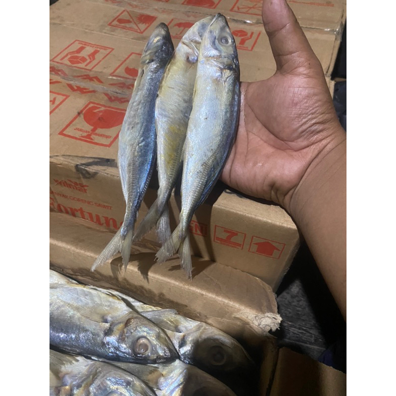 

ANEKA VARIAN IKAN ASINAN/ASINAN MURAH/IKAN ASINAN PREMIUM