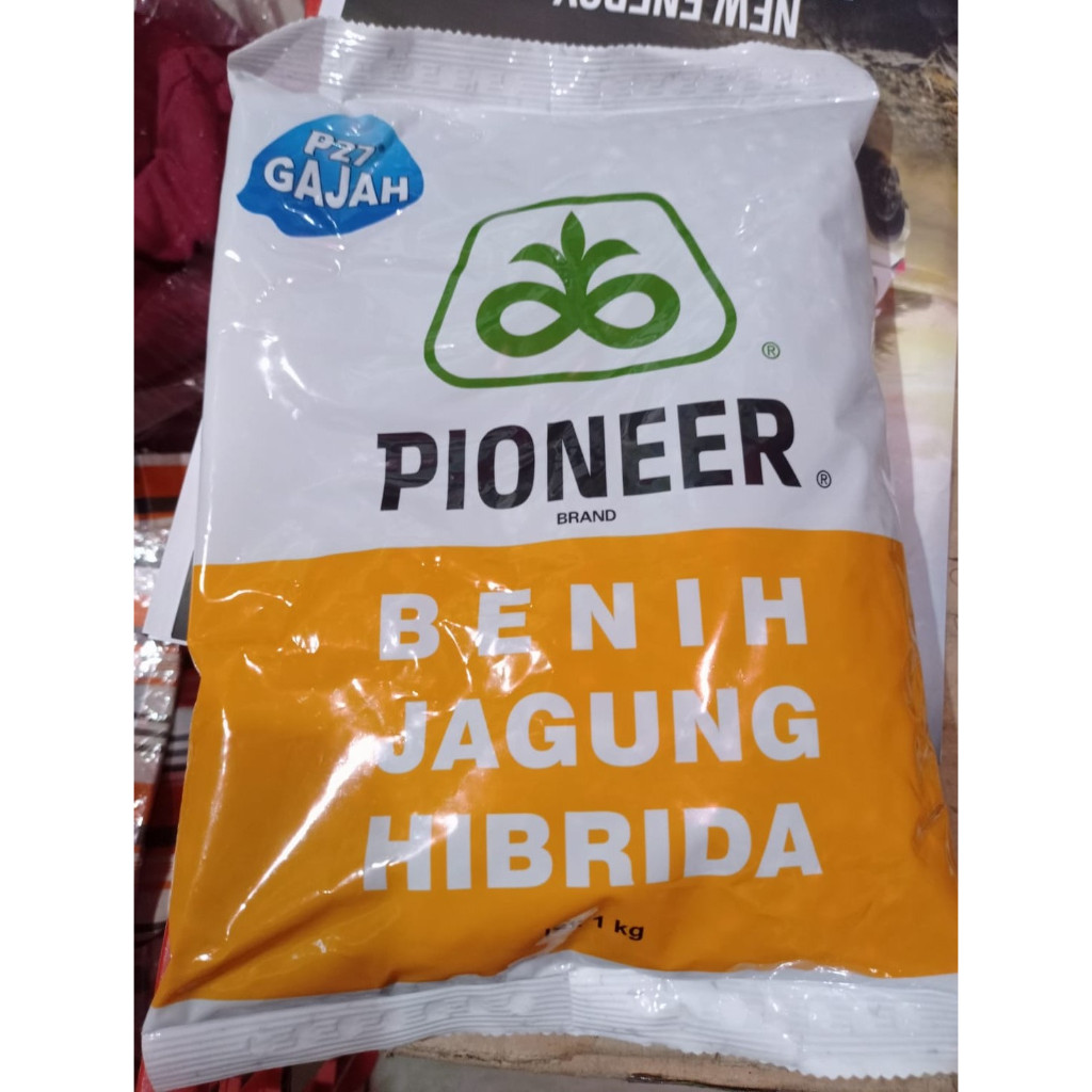 Benih Jagung Pioneer 27 gajah Hibrida Kemasan 1kg P27 gajah