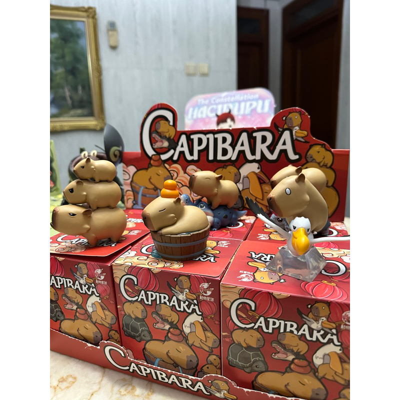 Capibara Guinea Pig Blind Box Figure Toys Capybara