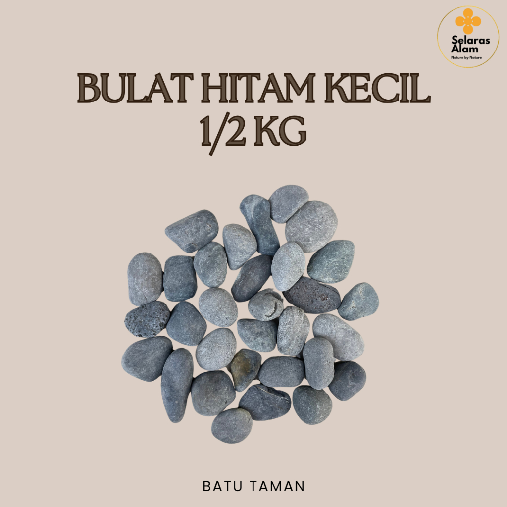 BATU TAMAN KORAL HITAM BULAT SETENGAH KILOGRAM / BATU TAMAN