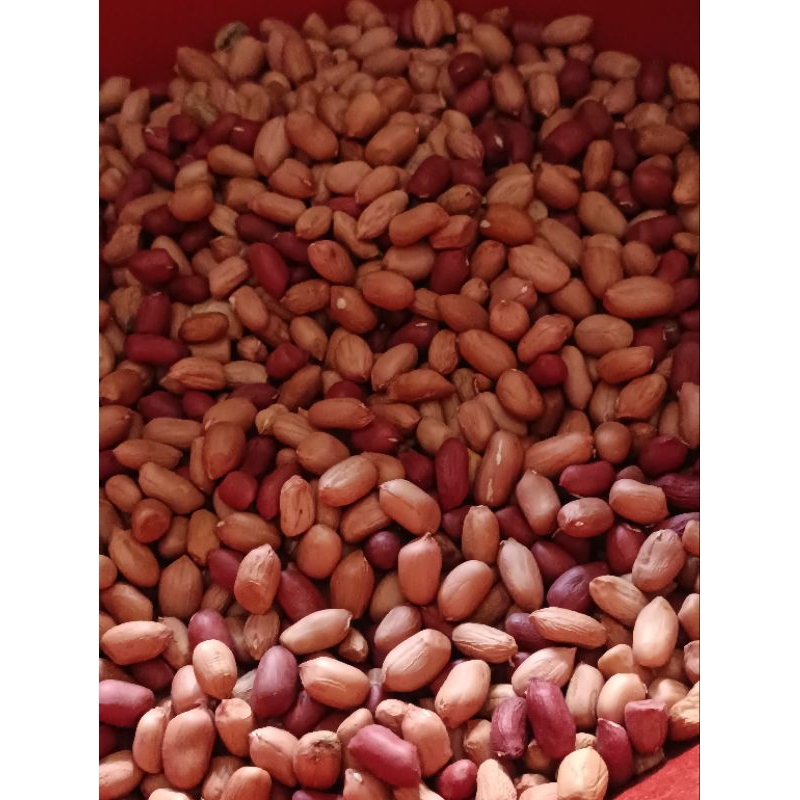 

Kacang Tanah 1Kg