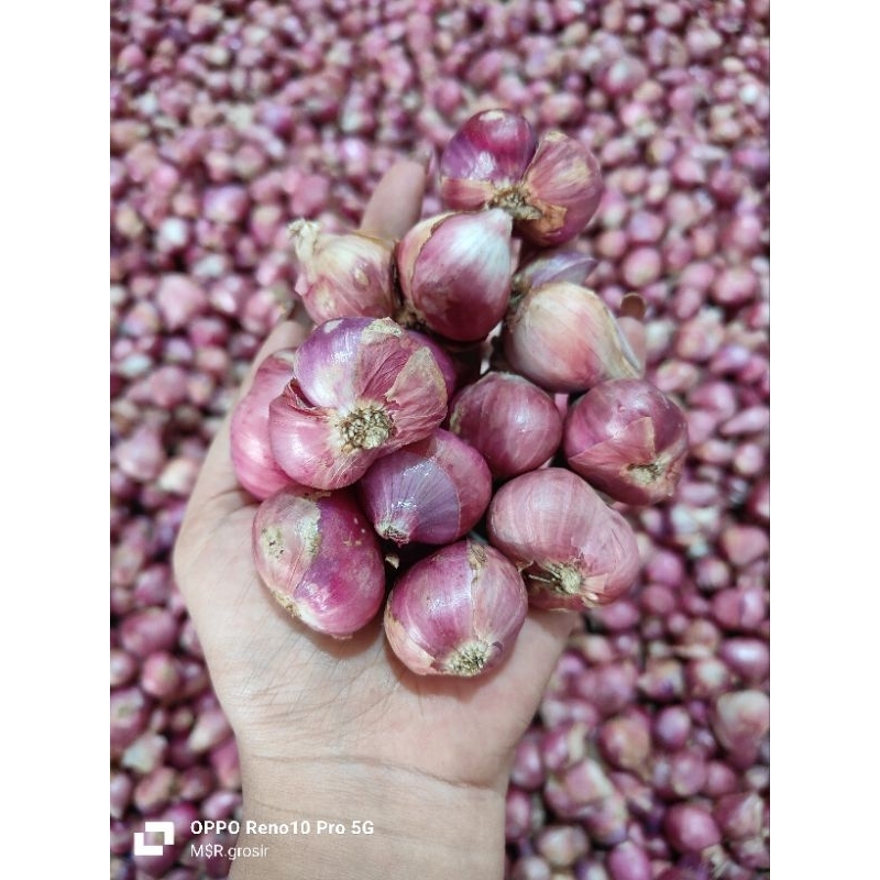 

BAWANG MERAH GALEKAN JUMBO 1kg