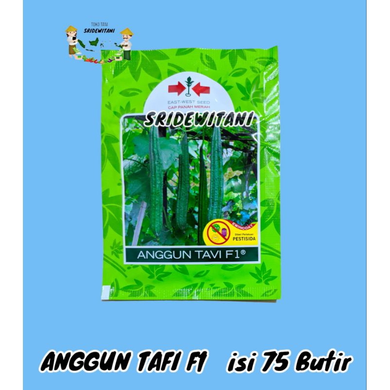 BIBIT OYONG ISI 75 BUTIR ANGGUN TAVI F1 CAP PANAH MERAH