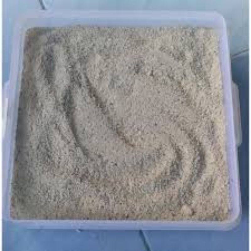 Serbuk Cangkang Keong Mas Asli Keong Mas