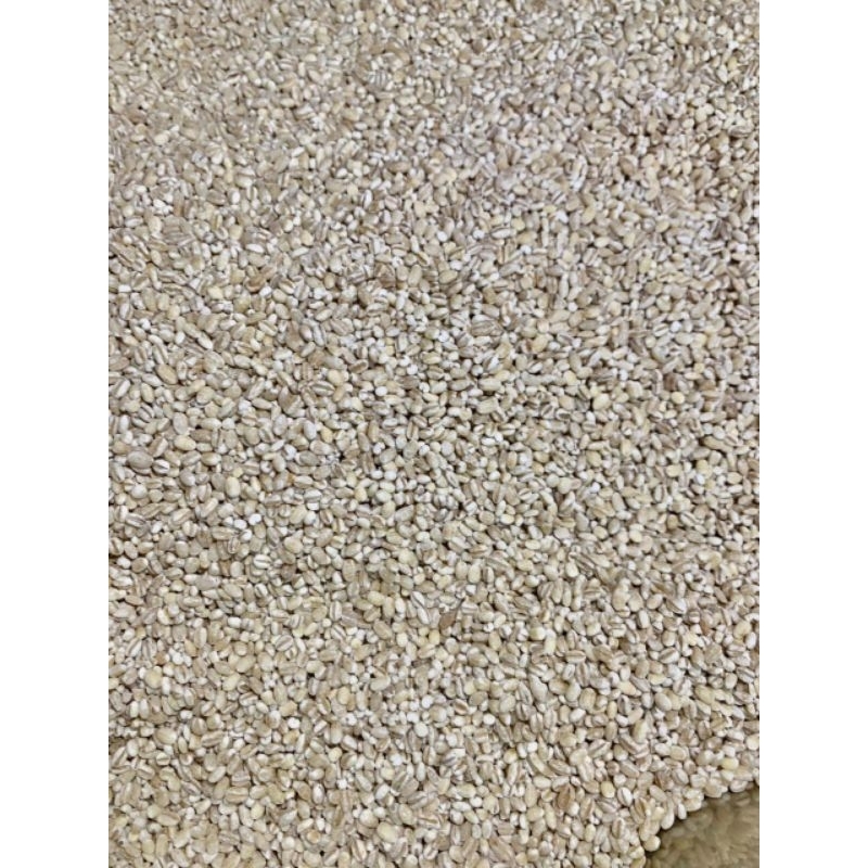 

jali jali barley import holland