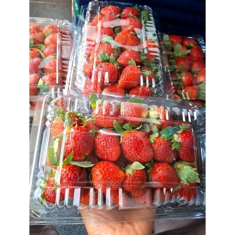 

strawberry fresh bandung ukuran 500gr