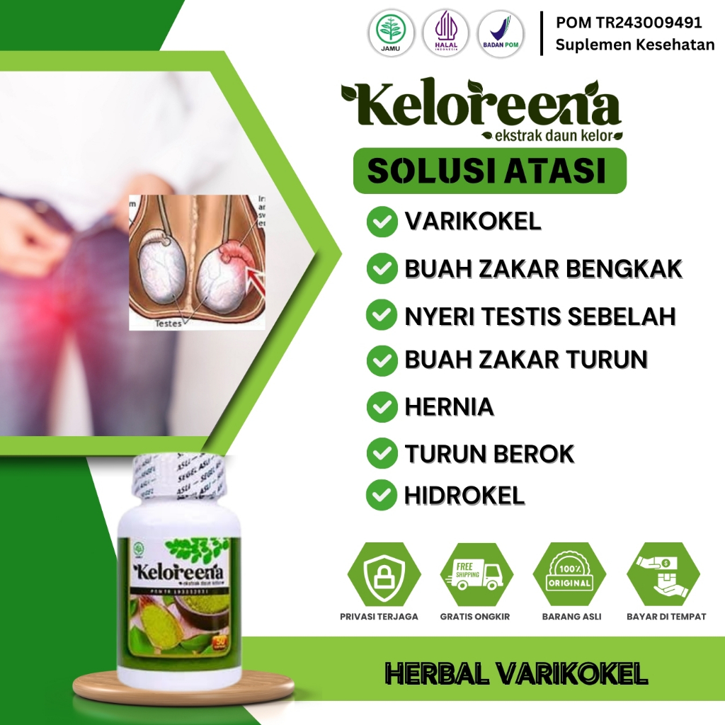 Obat Varikokel, Buah Zakar Bengkak Sebelah, Sakit Buah Zakar, Benjolan di Buah Zakar, Hidrokel, Hern