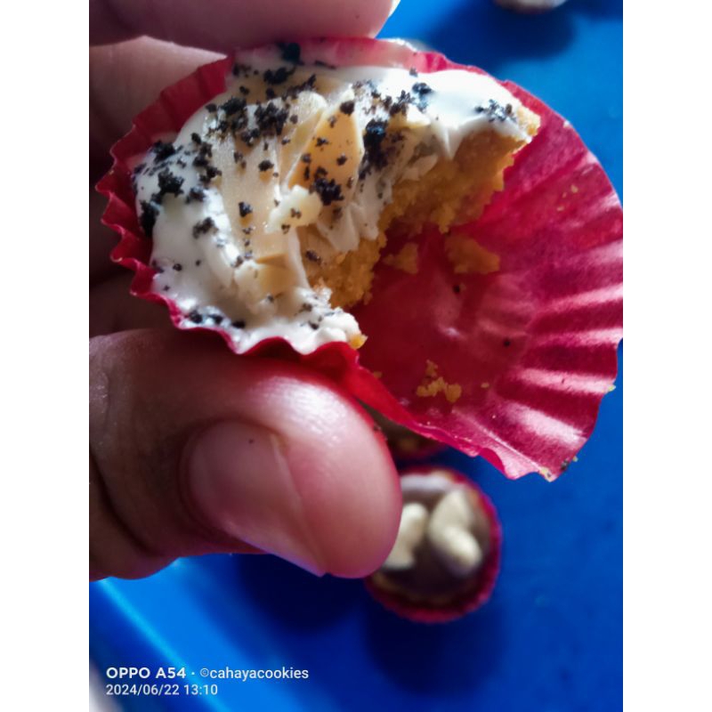 

PaicrunchiBYcahayaCookiess