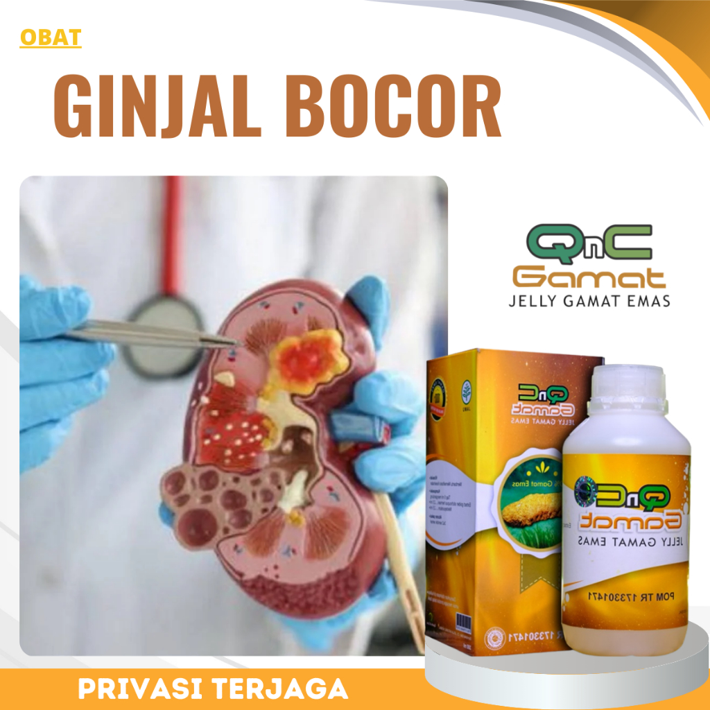 Obat Ginjal Bocor, Obat Ginjal bengkak, Obat Kebocoran Ginjal, Obat Sindrom Nefrotik, Obat Infeksi B