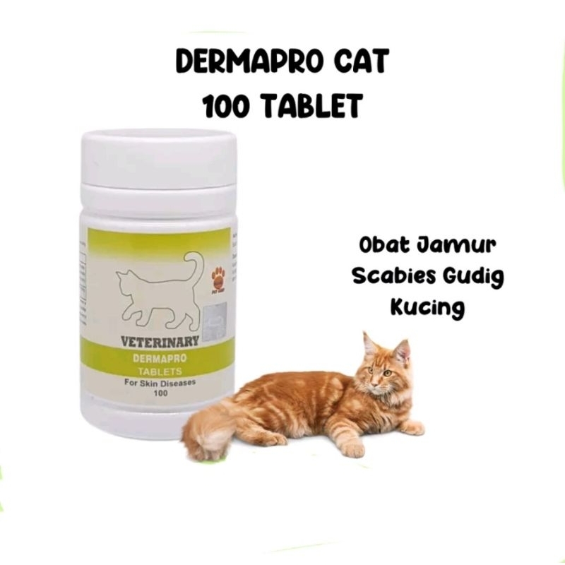 Dermapro cat 100 tablet obat jamur scabies gudig kulit kucing Raid all