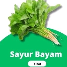 

Sayur Bayam
