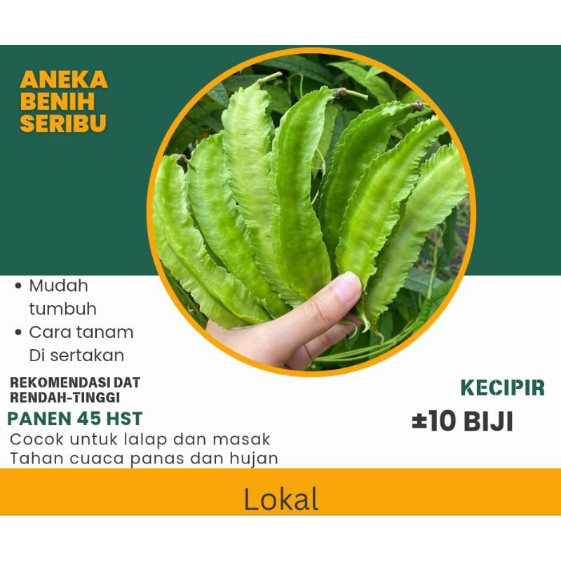 

10 Biji-Benih Sayur kecipir Lokal