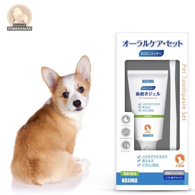 KODE H65Q KOJIMA 2in1 toothbrush set toothpaste pet dog cat pasta gigi anjing