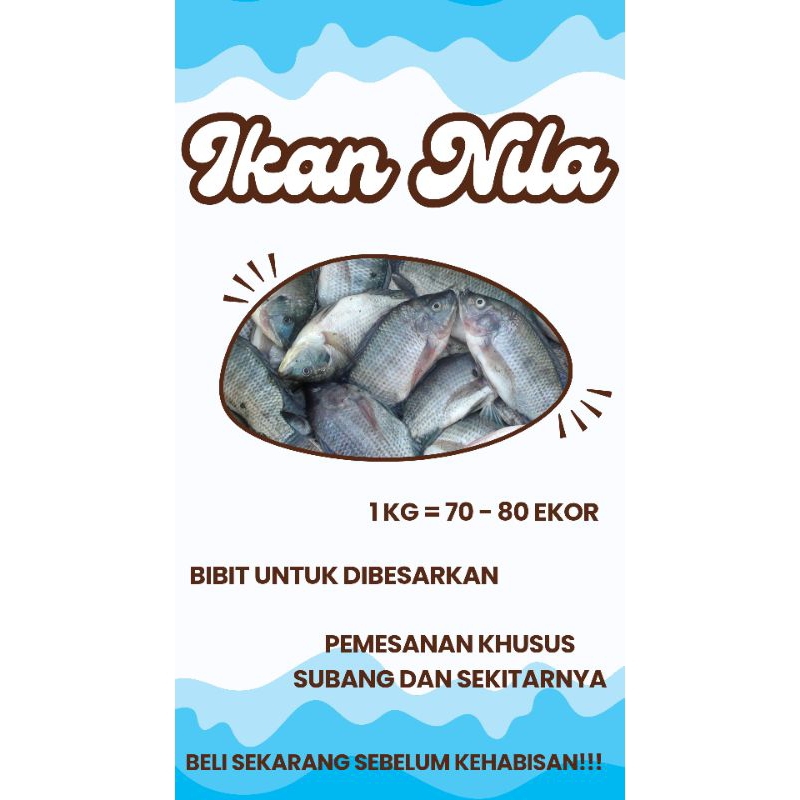 

Bibit Ikan Nila Segar Murah