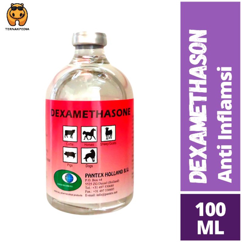KODE K24H Dexamethason 1ml  Anti Inflamasi  Pantex Holland  Obat Injek