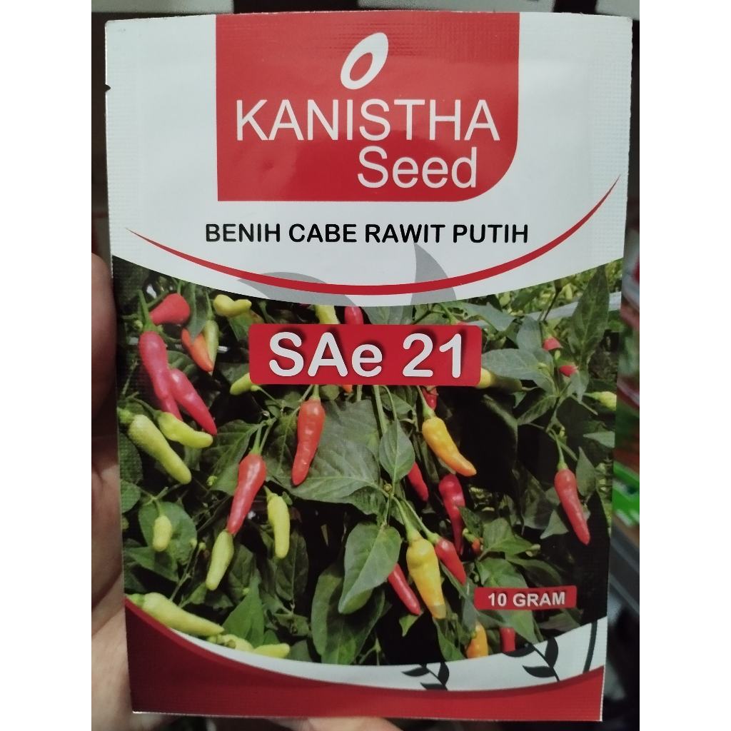 Benih Cabai Rawit Putih SAe 21