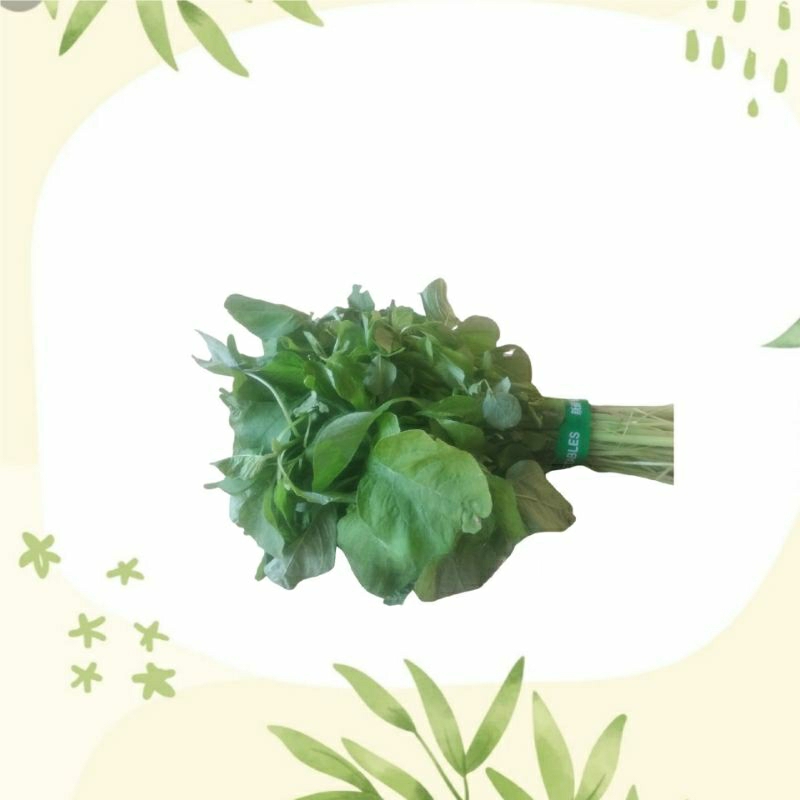 

Bayam Sayur Hijau Segar Fresh 1 ikat
