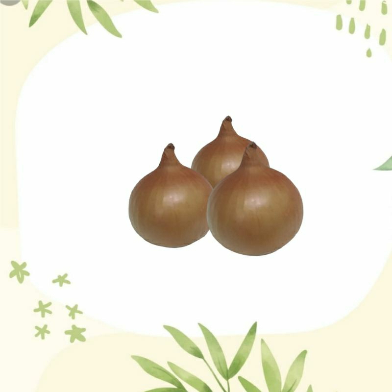 

Bawang Bombay 250 gr