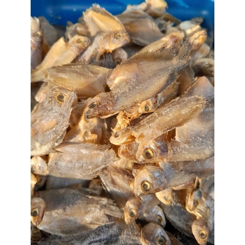 

ikan asin pakrik