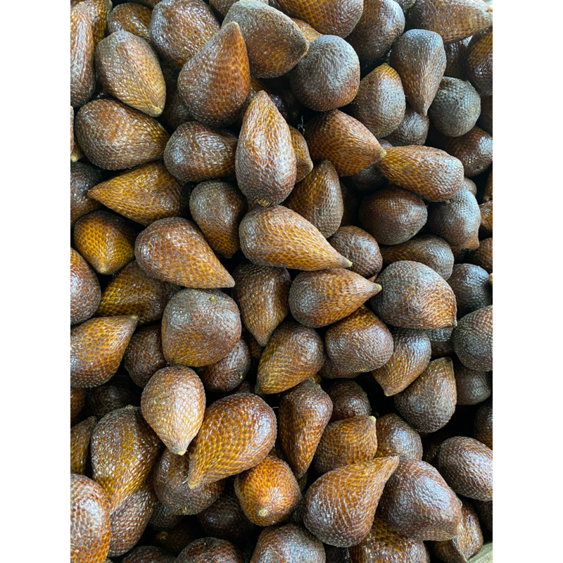 

SALAK PONDOH MURAH